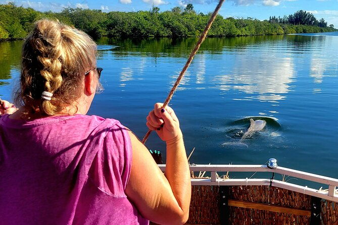 2-hour-dolphin-sightseeing-tour-in-melbourne-florida