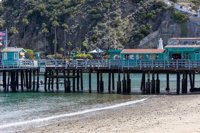 2-hour-private-tour-of-avalon