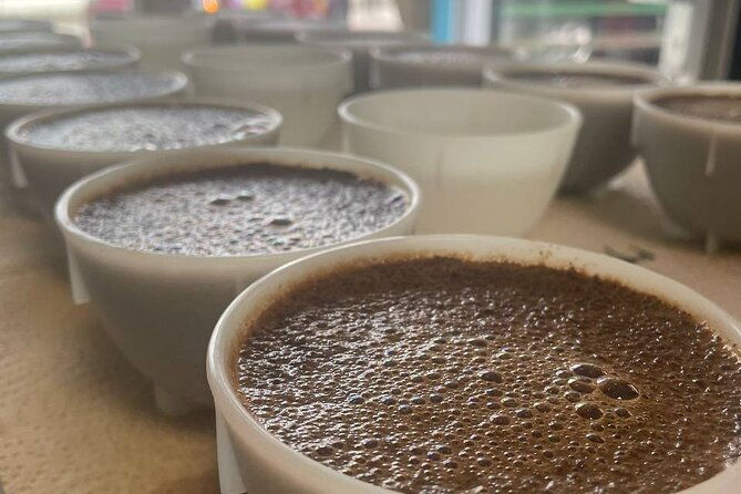 2-hour-specialty-coffee-tasting-in-ljubljana