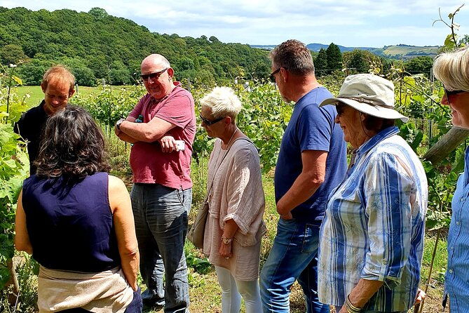1-5-hour-swanaford-vineyard-tour-and-tasting-experience