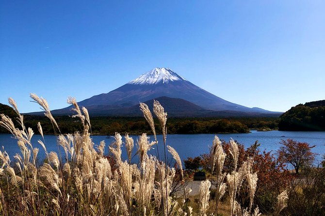 1-day-charter-tour-to-mt-fuji-view