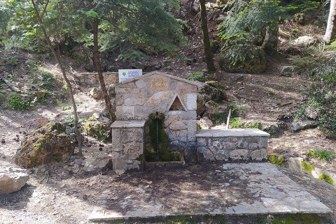 1-day-parnitha-athens-hiking-tour