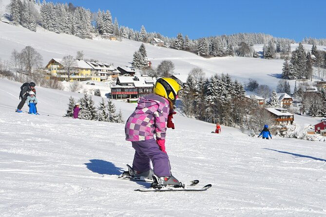 1-day-private-ski-lesson-from-tokyo-optional-mt-fuji-sightseeing