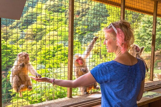 1-day-private-snow-monkey-zenkoji-temple-saketasting-naganotour