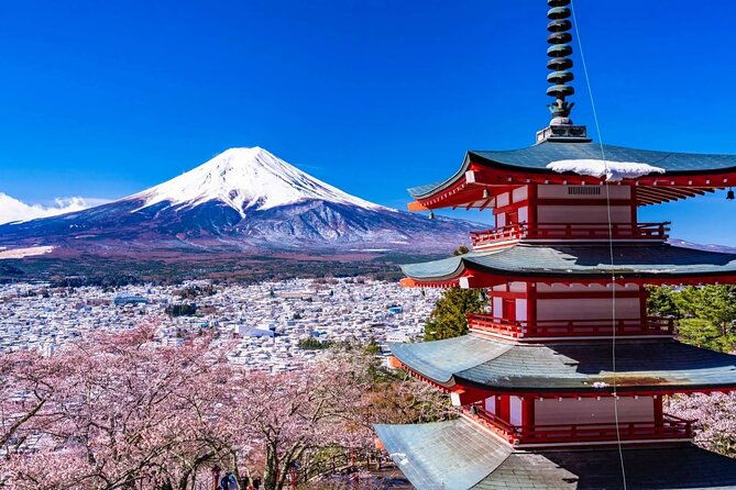 1-day-private-tour-fuji-fujiq-kawaguchiko-pagoda