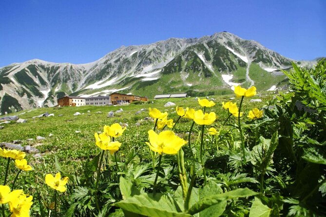 1-day-tateyama-kurobe-tour-walking-on-the-roof-of-japan