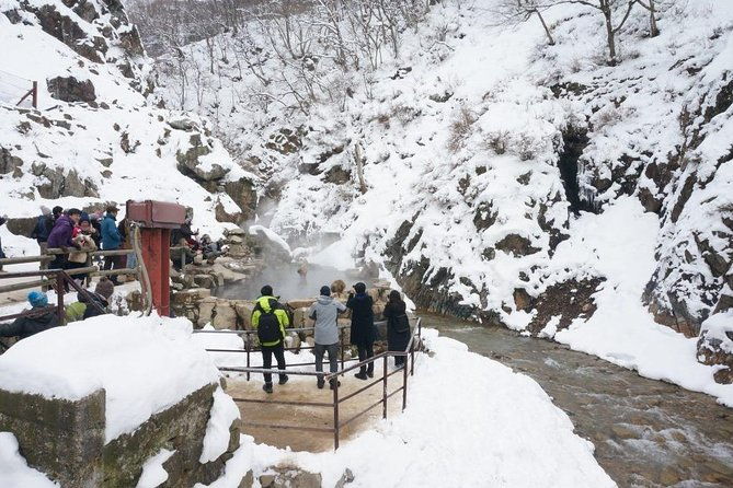 1-day-winter-tour-from-nozawa-onsen-snow-monkeys-zenko-ji-temple-sake