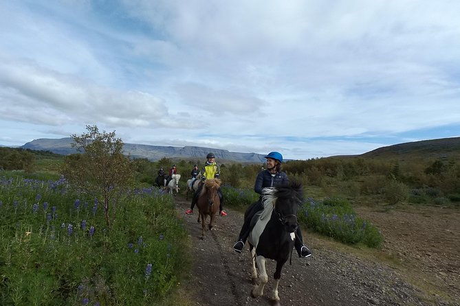 1-hour-private-horse-riding-tour-from-reykjavik-mosfellsbaer