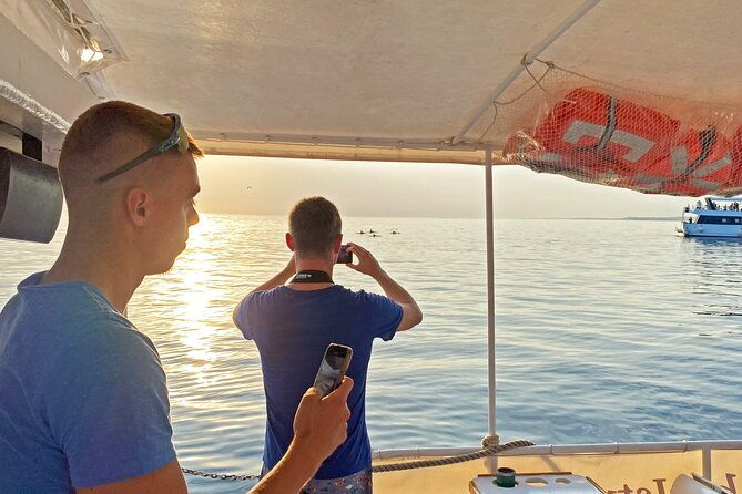 2-hour-dolphin-guided-safari-np-brijuni-from-fazana