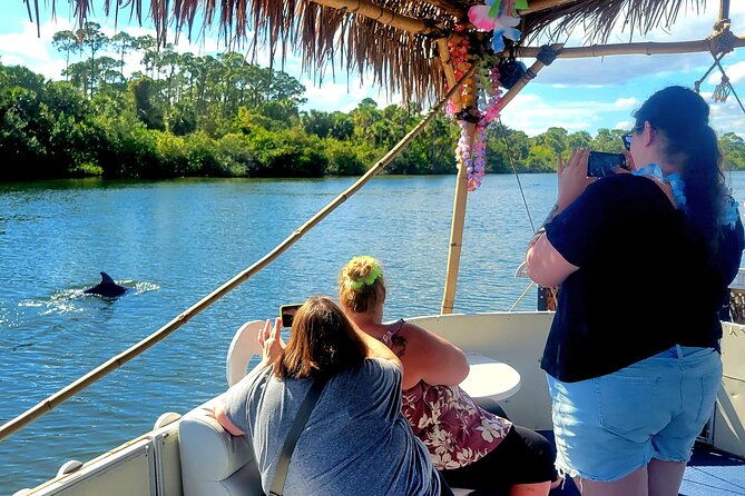 2-hour-dolphin-sightseeing-tour-in-melbourne-florida