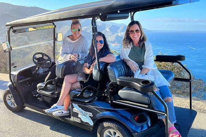 2-hour-private-tour-of-avalon