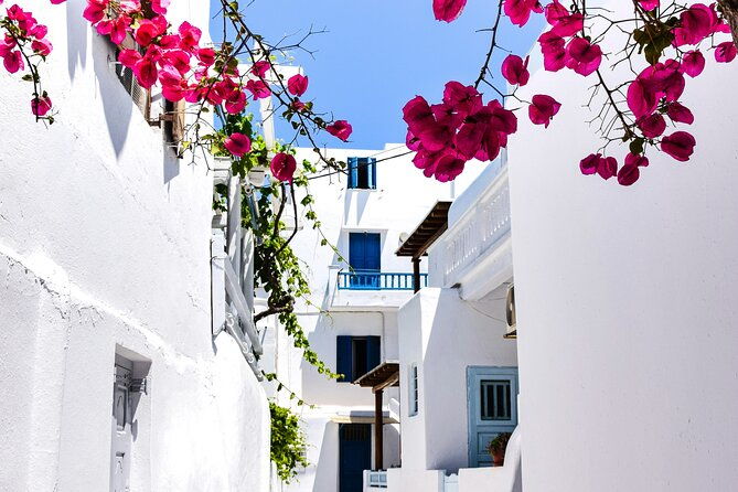 2-hours-feel-like-a-local-walking-tour-in-mykonos-town