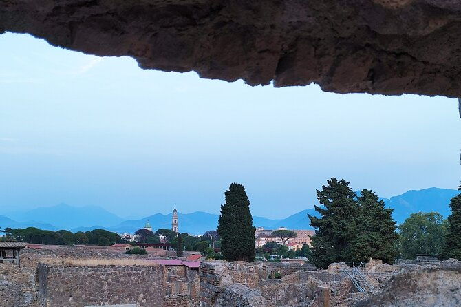 2-hours-private-tour-in-pompeii-with-archaeologist
