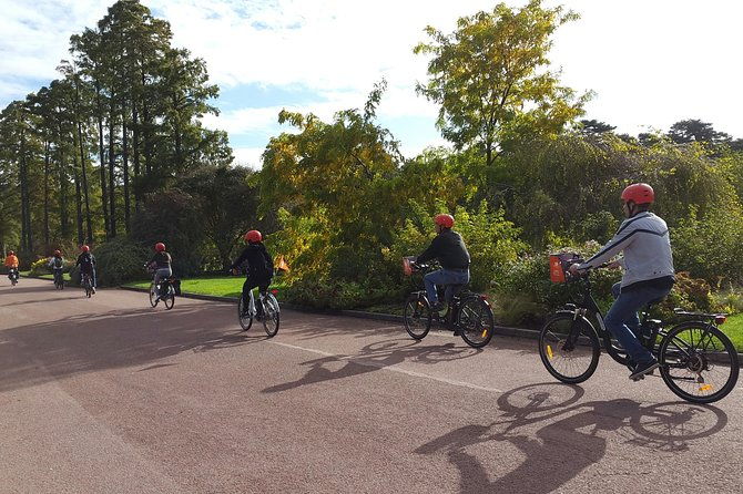 2h-electric-bike-tour-of-lyon-with-a-local-guide