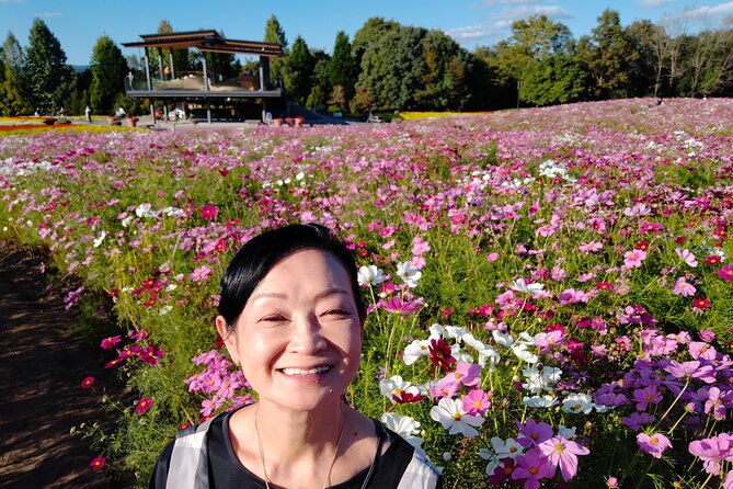 3-day-japan-highlights-tour-tokyo-mt-fuji-nara-kyoto-osaka
