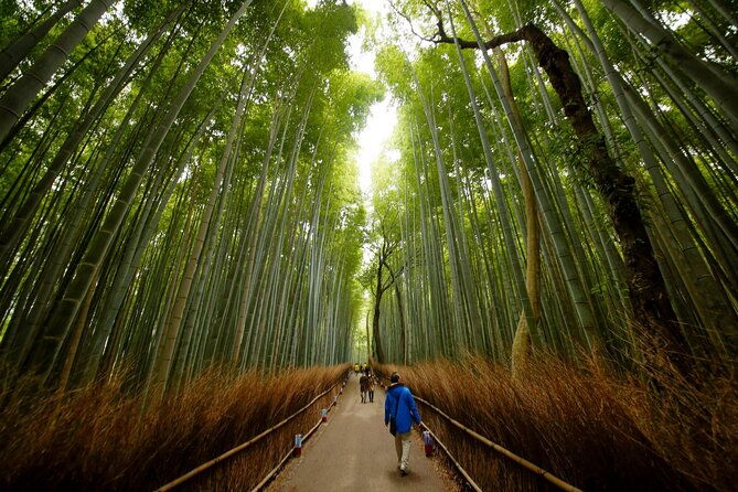 3-day-japan-tour-kyoto-osaka-nara-from-tokyo