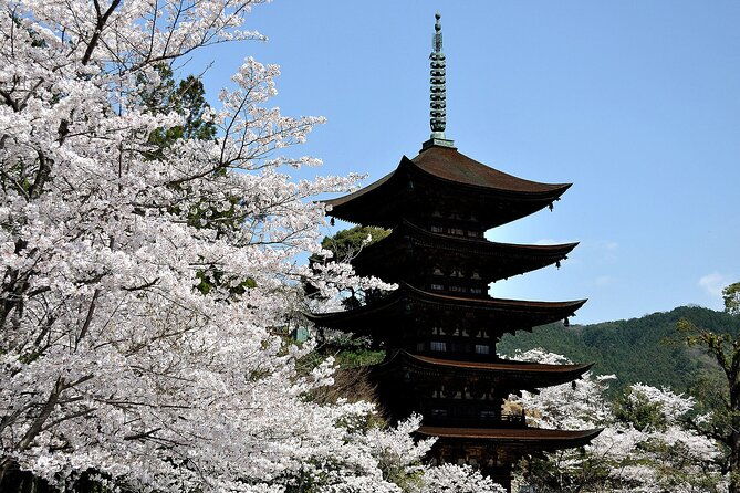 3-day-trip-to-osaka-from-fukuoka-via-sanyo-with-minibus7m