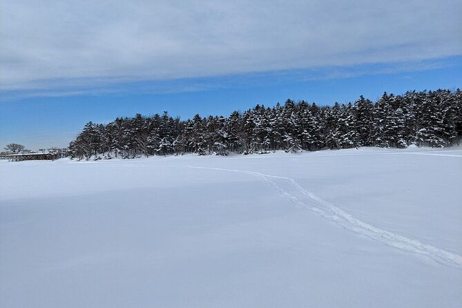 4-5-hours-snowshoe-hike-in-shiretoko-five-lakes