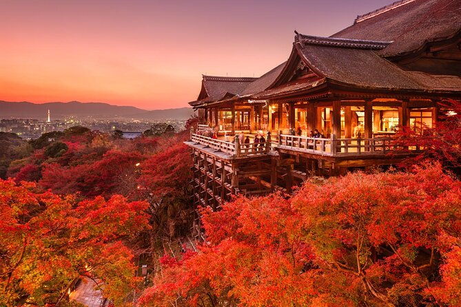 4-days-private-customizable-tour-in-osaka-nara-kyoto-kobe