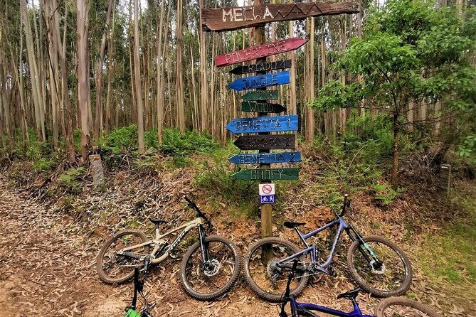4-hour-private-mtb-enduro-trail-tour-in-sintra-mountain