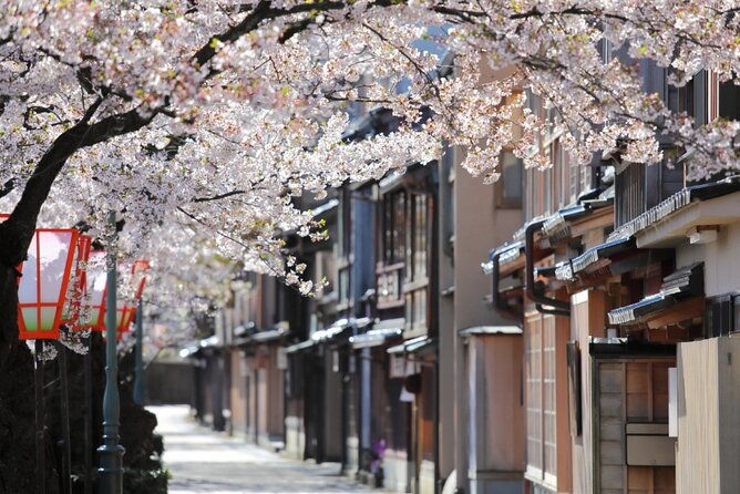 4-hour-unique-kanazawa-cherry-blossom-sakura-private-experience