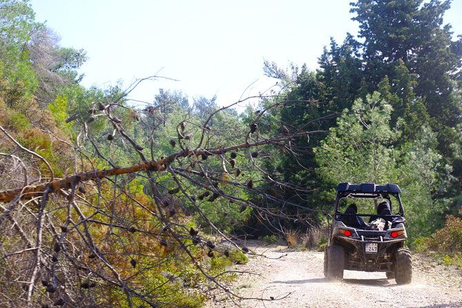 4x4-buggy-adventures-off-road-polaris-experience