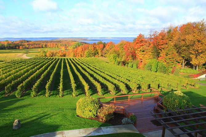 5-hour-traverse-city-wine-tour-4-wineries-on-old-mission-peninsula