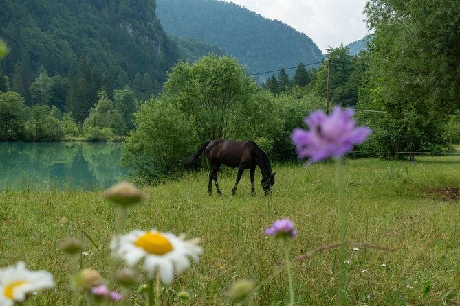7-alpine-wonders-day-tour-bled-soca-valley-slovenia