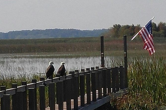 90-minute-everglades-airboat-tour-near-orlando-florida