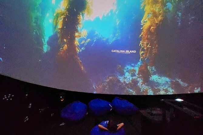 a-360-immersive-ocean-movie-experience-catalina-island