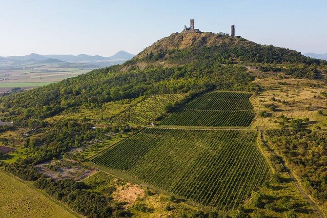 a-delightful-wine-tasting-in-the-scenic-countryside-with-lunch
