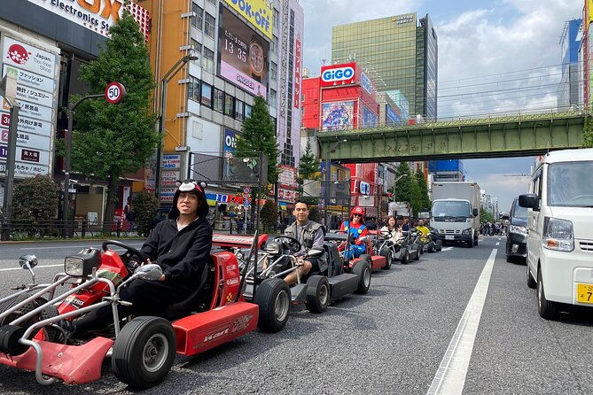 akihabara-go-kart-experience-with-local-guide-in-tokyo