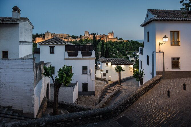 alhambra-with-nazaries-palaces-private-tour