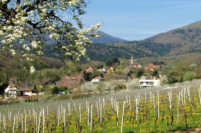 alsace-4-wonders-small-group-day-trip-from-colmar