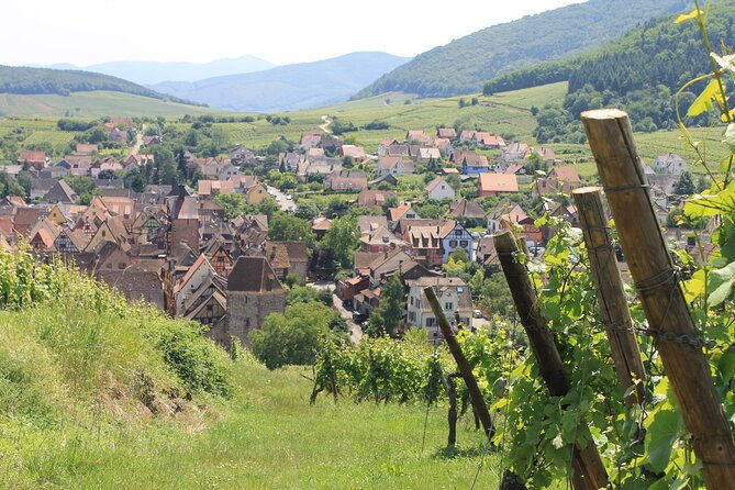 alsace-wine-route-small-group-half-day-tour-with-tasting-from-strasbourg