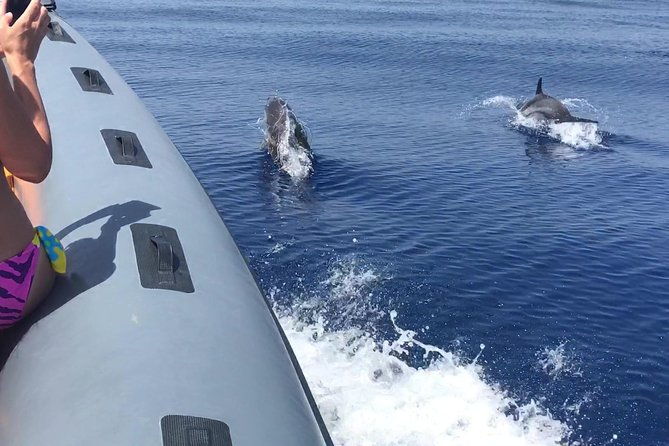 amazing-boat-trip-from-tropea-to-capo-vaticano-6-to-12-people