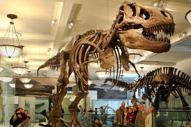 american-museum-of-natural-history-admission-ticket