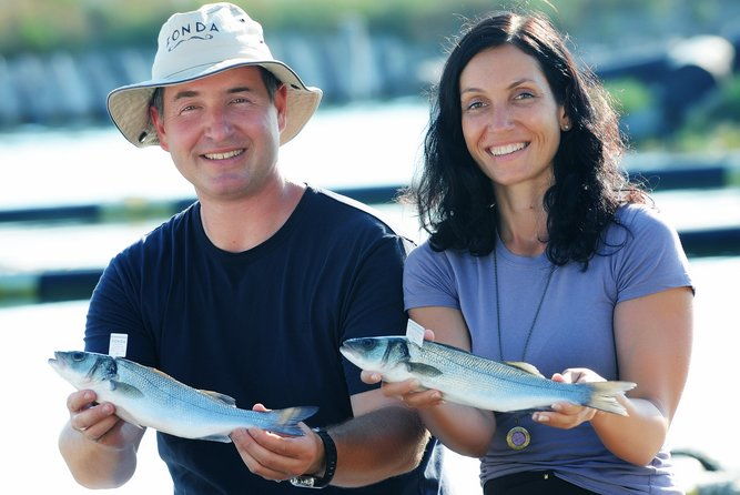 an-unforgettable-day-with-fish-wine-and-olive-oil-tasting