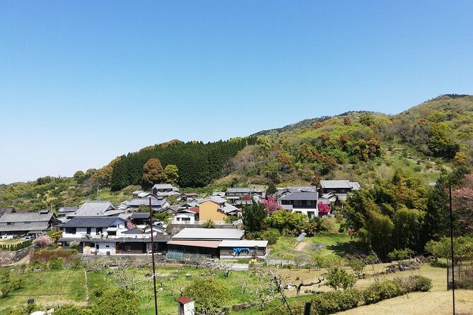 ancient-nara-walking-and-cycling-tour-in-asuka