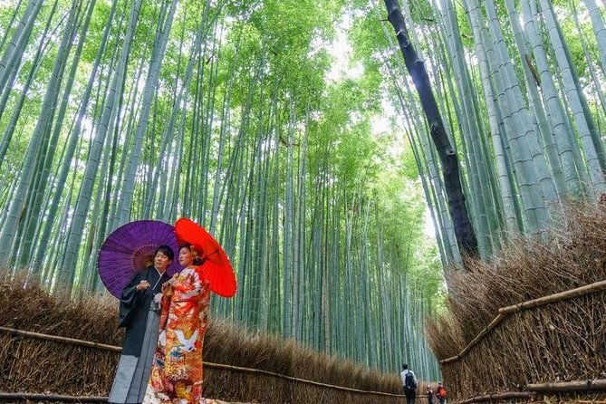 arashiyama-bamboo-grove-day-trip-from-kyoto-with-a-local-private-personalized