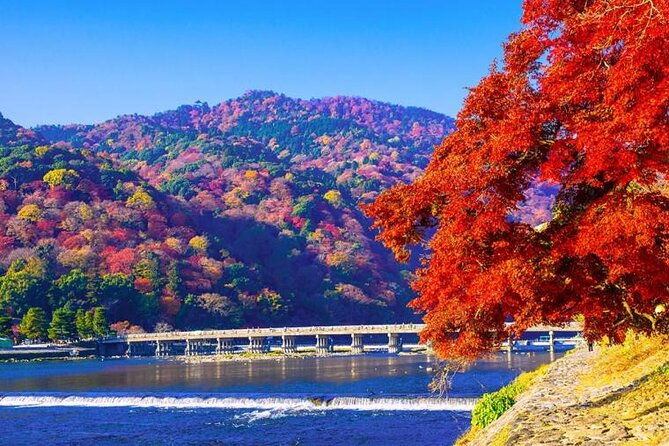 arashiyama-bamboo-must-see-gardens-with-an-amazing-guide