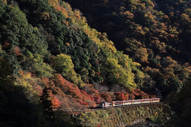 arashiyama-walking-tour-with-optional-sagano-romantic-train-ride