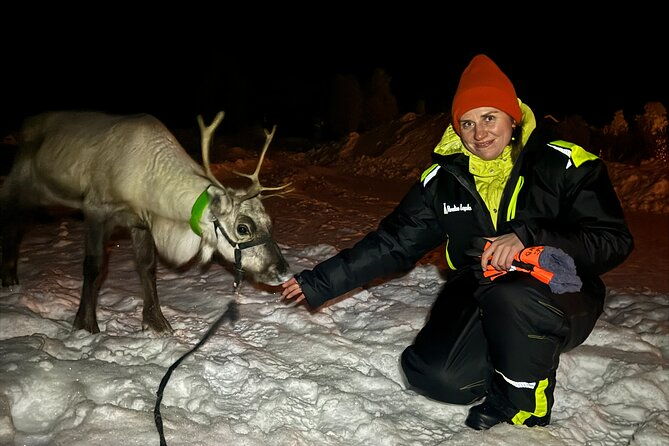 arctic-adventure-with-reindeer-and-northern-lights-hunt-1830-pm