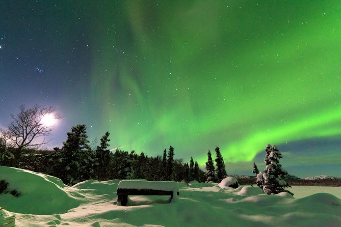 arctic-circle-and-northern-lights-tour-from-fairbanks