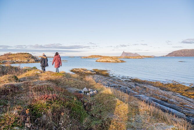 arctic-roadtrip-fjords-with-scenic-picnic-private