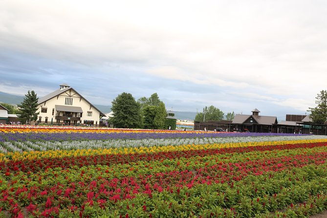 asahiyama-zoo-aoiike-farm-tomita-ningle-terrace-from-sapporo