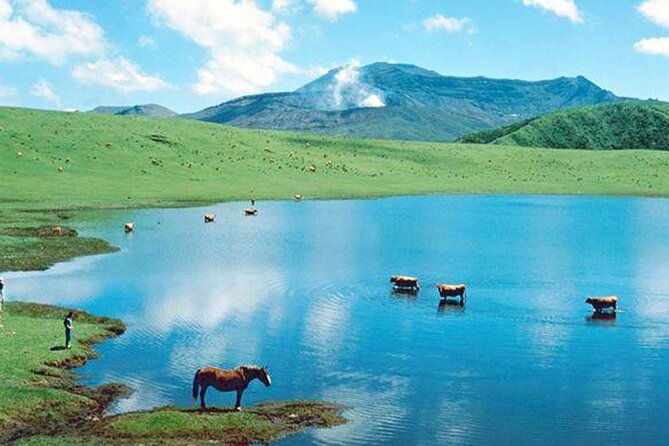 aso-vocano-grasslandonsen-and-aso-shrine-1-day-tour