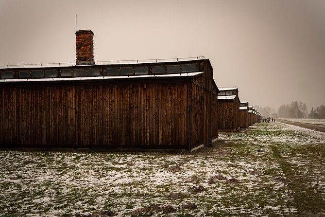 auschwitz-birkenau-and-wieliczka-salt-mine-day-tour-from-krakow-with-private-car