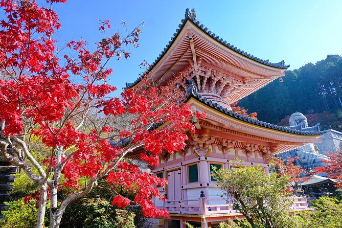 autumn-leaves-buddha-and-mt-yoshino-with-orange-picking-tour