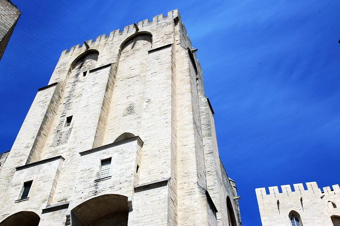 avignons-history-local-culture-the-wines-of-chateauneuf-du-pape-private-tour